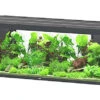 Aquatlantis - Aquarium SUBLIME 200 Led Anthracite - 853L 1 Aquatlantis - Aquarium SUBLIME 200 Led Anthracite - 853L -Magasin De Fournitures Pour Animaux De Compagnie 72936