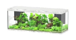 Aquatlantis - Aquarium SUBLIME 200 Led Gris Béton - 853L