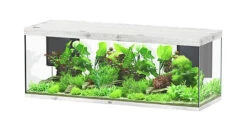 Aquatlantis - Aquarium SUBLIME 200 Led Chêne Blanc - 853L