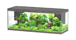 Aquatlantis - Aquarium SUBLIME 200 Led Chêne Brun - 853L
