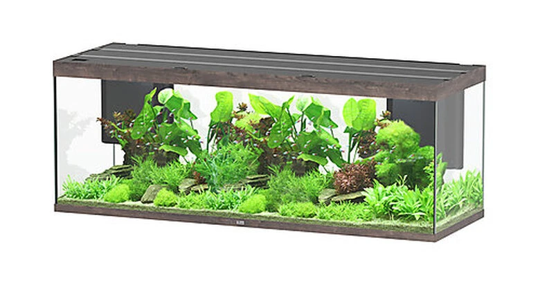 Aquatlantis - Aquarium SUBLIME 200 Led Chêne Brun - 853L 3 Aquatlantis - Aquarium SUBLIME 200 Led Chêne Brun - 853L