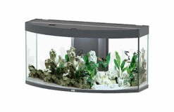 Aquatlantis - Aquarium SUBLIME HORIZON 120 Led Anthracite - 249L