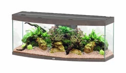 Aquatlantis - Aquarium SUBLIME HORIZON 150 Led Chêne Brun - 363L