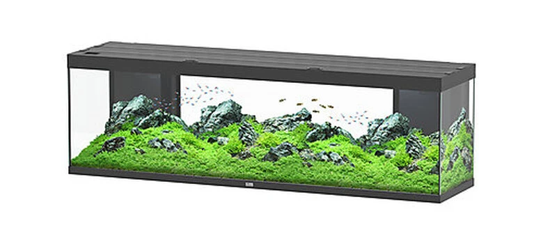 Aquatlantis -Aquarium SPLENDID 200 Led 2.0 Equipé Noir - 500L 3 Aquatlantis -Aquarium SPLENDID 200 Led 2.0 Equipé Noir - 500L