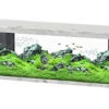 Aquatlantis - Aquarium SPLENDID 200 Led 2.0 Equipé Gris Béton - 500L