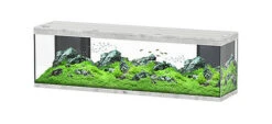 Aquatlantis - Aquarium SPLENDID 200 Led 2.0 Equipé Gris Béton - 500L