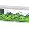 Aquatlantis - Aquarium SPLENDID 200 Led 2.0 Equipé Chêne Blanc - 500L -Magasin De Fournitures Pour Animaux De Compagnie 72955