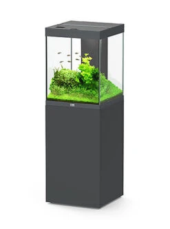 Aquatlantis - Aquarium + Meuble Led Equipé AQUA TOWER 163 Anthracite - 163L