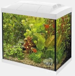 Superfish - Kit Aquarium Start 30 Tropical Blanc - 27L -Magasin De Fournitures Pour Animaux De Compagnie 72996