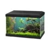 Ciano - Aquarium Classic Noir + Filtre CF40 - 20L -Magasin De Fournitures Pour Animaux De Compagnie 73763