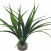 Labeo - Plante Décorative Herbe Marine Pour Aquarium -Magasin De Fournitures Pour Animaux De Compagnie 74018