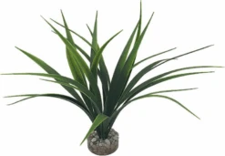 Labeo - Plante Décorative Herbe Marine Pour Aquarium