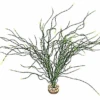 Labeo - Plante Décorative Psilotum MM Pour Aquarium 2 Labeo - Plante Décorative Psilotum MM Pour Aquarium -Magasin De Fournitures Pour Animaux De Compagnie 74025