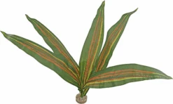 Labeo - Plante Verte Décorative Pour Terrarium - GM -Magasin De Fournitures Pour Animaux De Compagnie 74030