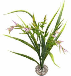 Labeo - Plante Décorative Tillandsia PM Pour Aquarium - Vert/Rose