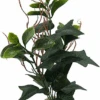 Labeo - Plante Verte Assortie Décorative Pour Terrarium -Magasin De Fournitures Pour Animaux De Compagnie 74034