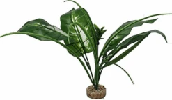 Labeo - Plante Verte Assortie Décorative Pour Terrarium -Magasin De Fournitures Pour Animaux De Compagnie 74037