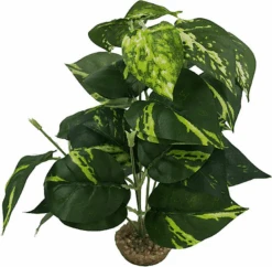 Labeo - Plante Verte Assortie Décorative Pour Terrarium -Magasin De Fournitures Pour Animaux De Compagnie 74040