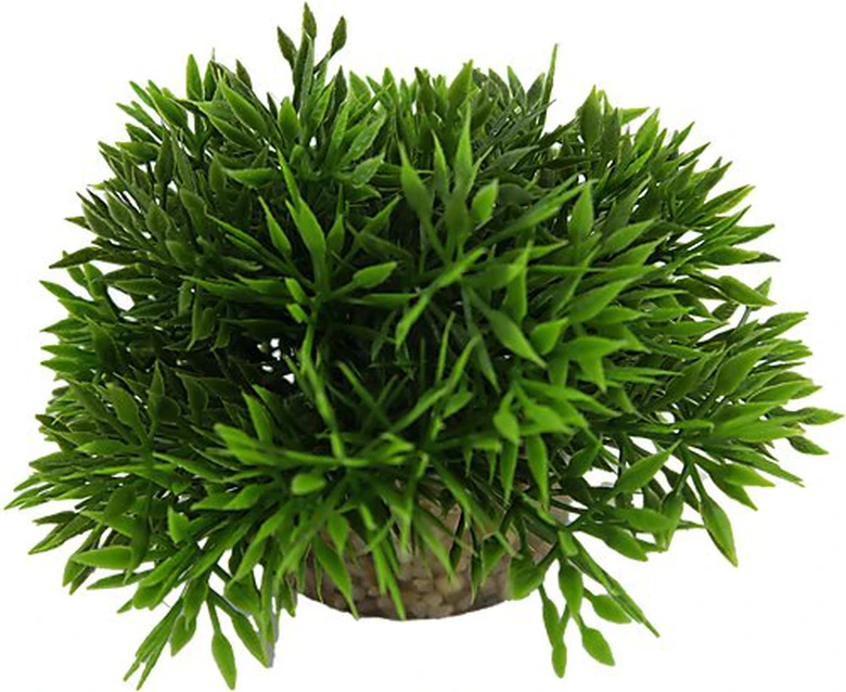 Labeo - Plante Décorative Bambou Pour Aquarium 3 Labeo - Plante Décorative Bambou Pour Aquarium