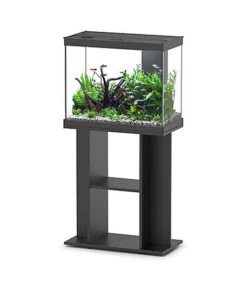 Aquadisio - Aquarium Alto 60cm - Noir