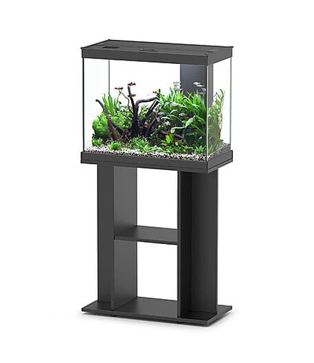Aquadisio - Aquarium Alto 60cm - Noir 3 Aquadisio - Aquarium Alto 60cm - Noir