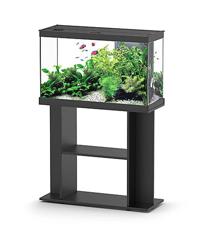 Aquadisio - Aquarium Alto 80cm - Noir 3 Aquadisio - Aquarium Alto 80cm - Noir