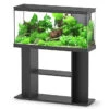 Aquadisio - Aquarium Alto 100cm - Noir