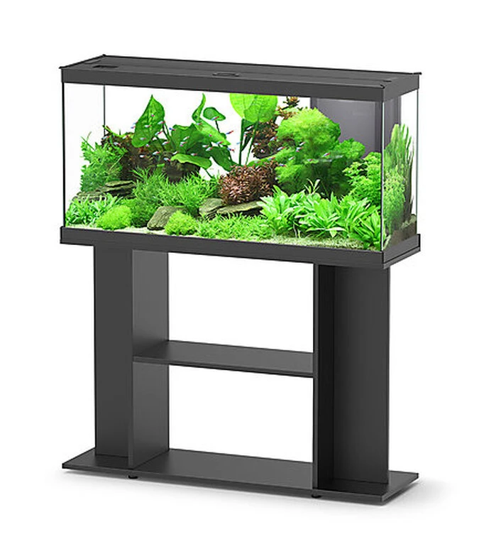 Aquadisio - Aquarium Alto 100cm - Noir 3 Aquadisio - Aquarium Alto 100cm - Noir