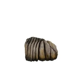 Aquadella - Décoration Seychellen S Pour Aquarium - 14,4x9x8,8cm