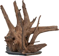 Sera - Racine Scaper Wood Pour Aquarium - M