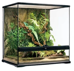 Exo Terra - Terrarium Pour Reptiles - 60x45x60cm