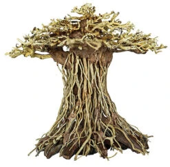 Superfish - Racine Bonsai Mushroom Pour Aquarium - L