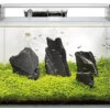 Superfish - Aquarium SCAPER 90 En Verre Crystal Clear - 90L -Magasin De Fournitures Pour Animaux De Compagnie 74768