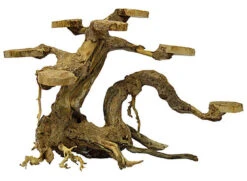 Superfish - Racine Bonsai Planter Pour Aquarium - S