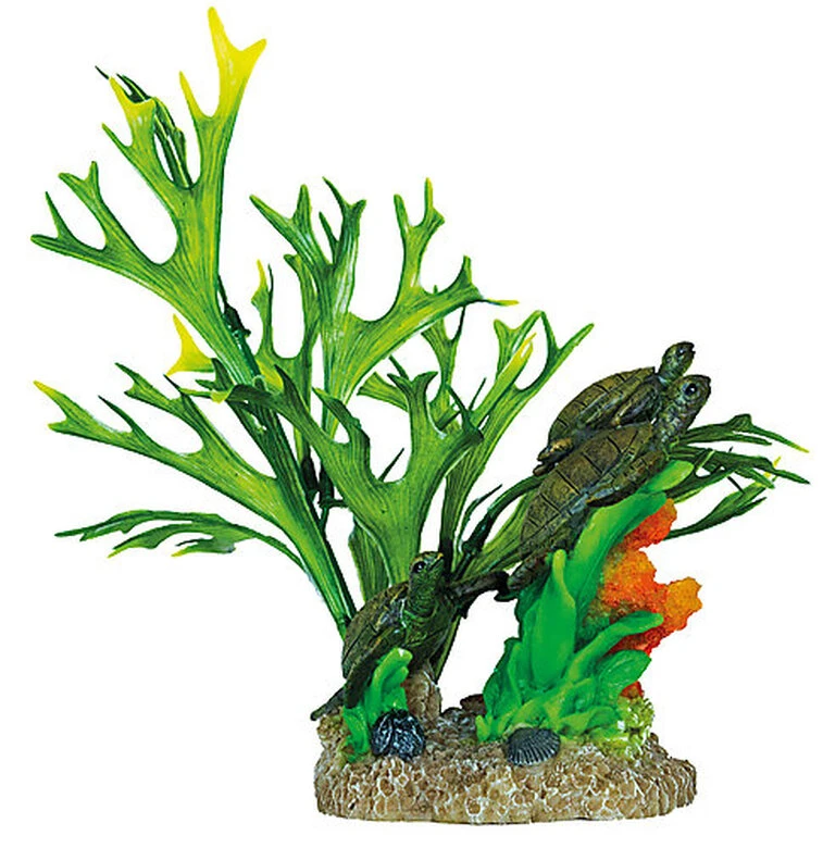 Superfish - Décoration Garden Turtle Pour Aquarium - 26cm 3 Superfish - Décoration Garden Turtle Pour Aquarium - 26cm