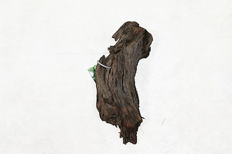 Aquavie - Décoration Racine Mangrove Pour Aquarium - PM 3 Aquavie - Décoration Racine Mangrove Pour Aquarium - PM