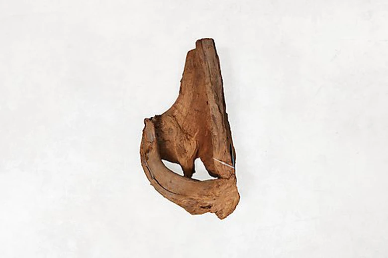 Aquavie - Décoration Racine Mangrove Pour Aquarium - GM 4 Aquavie - Décoration Racine Mangrove Pour Aquarium - GM – Image 2