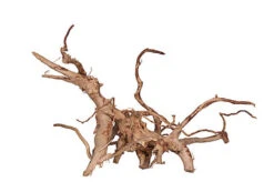 Aquavie - Décoration Racine Araignée Pour Aquarium D'Eau Douce - 50/80cm