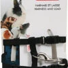 Zolux - Kit Harnais Et Laisse Noir Pour N.A.C 1 Zolux - Kit Harnais Et Laisse Noir Pour N.A.C -Magasin De Fournitures Pour Animaux De Compagnie 7555