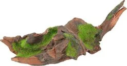 Zolux - Racine Malaisie Naturelle Kipouss Pour Aquarium - S