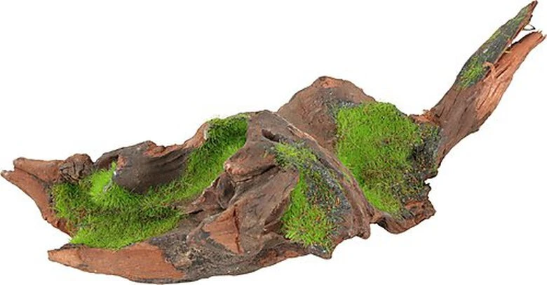 Zolux - Racine Malaisie Naturelle Kipouss Pour Aquarium - S 3 Zolux - Racine Malaisie Naturelle Kipouss Pour Aquarium - S