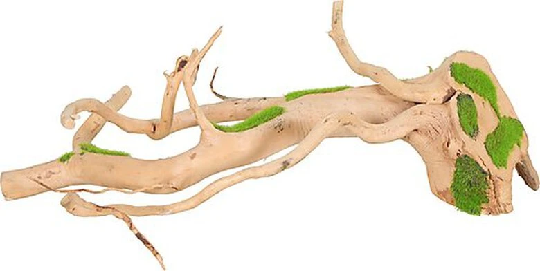 Zolux - Racine Araignée Naturelle Kipouss Pour Aquarium - S 3 Zolux - Racine Araignée Naturelle Kipouss Pour Aquarium - S