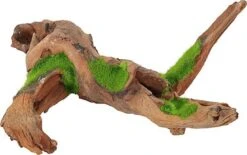 Zolux - Racine Malaisie Naturelle Kipouss Pour Aquarium - M