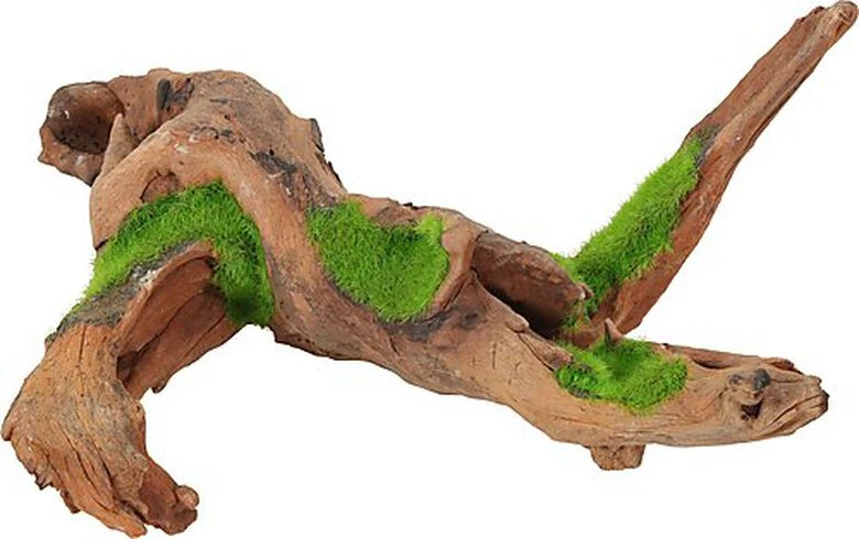 Zolux - Racine Malaisie Naturelle Kipouss Pour Aquarium - M 3 Zolux - Racine Malaisie Naturelle Kipouss Pour Aquarium - M