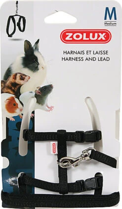 Zolux - Kit Harnais Et Laisse Noir Pour N.A.C -Magasin De Fournitures Pour Animaux De Compagnie 7597
