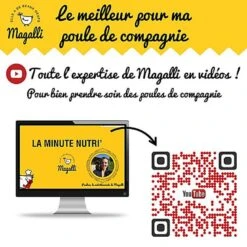 Magalli - Aliment Complet Poule Santé Pour Basse-cour - 4Kg 13 Magalli - Aliment Complet Poule Santé Pour Basse-cour - 4Kg -Magasin De Fournitures Pour Animaux De Compagnie 76125